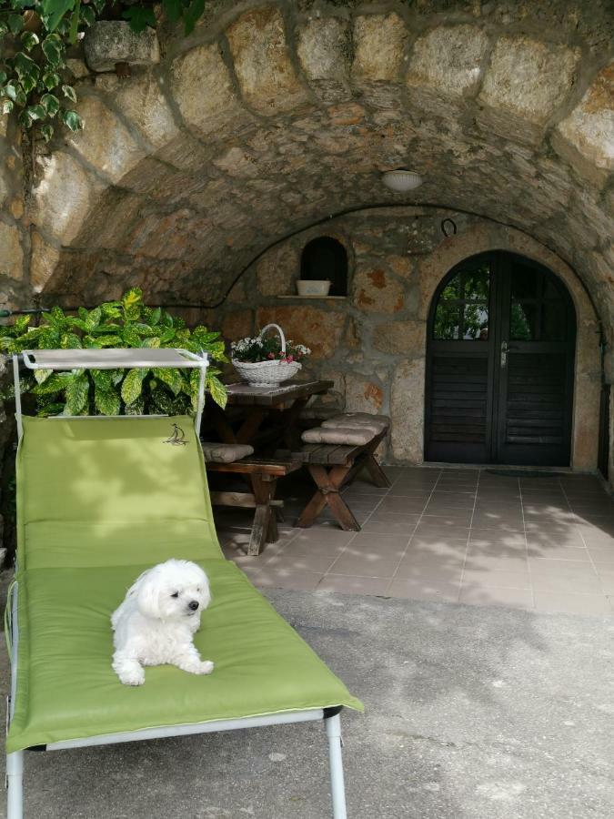 Guest House Otto 푸나트 외부 사진